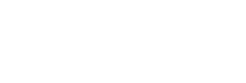 Meta Business Partner